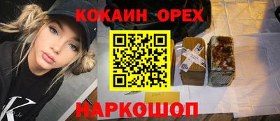 шишки Кингисепп