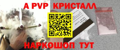 шишки Кингисепп