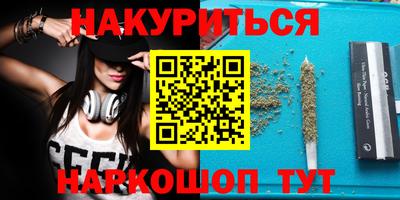 шишки Кингисепп