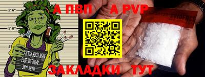 шишки Кингисепп