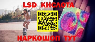 шишки Кингисепп