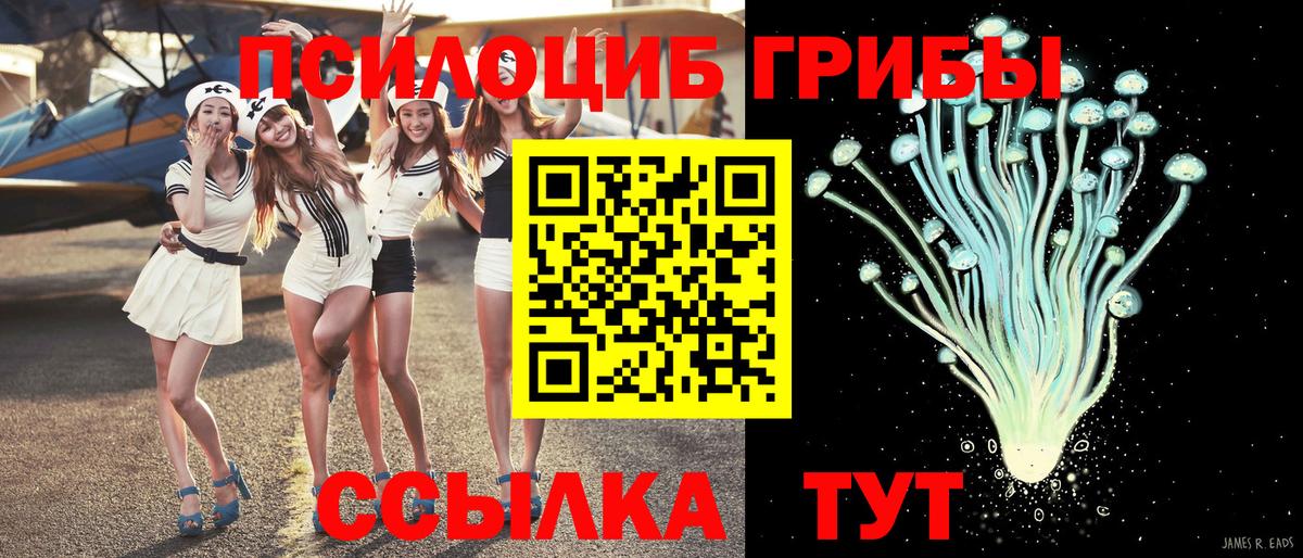 Галлюциногенные грибы Psilocybe  Псилоцибиновые грибы ЛСД  Будённовск  Вход с VPN 