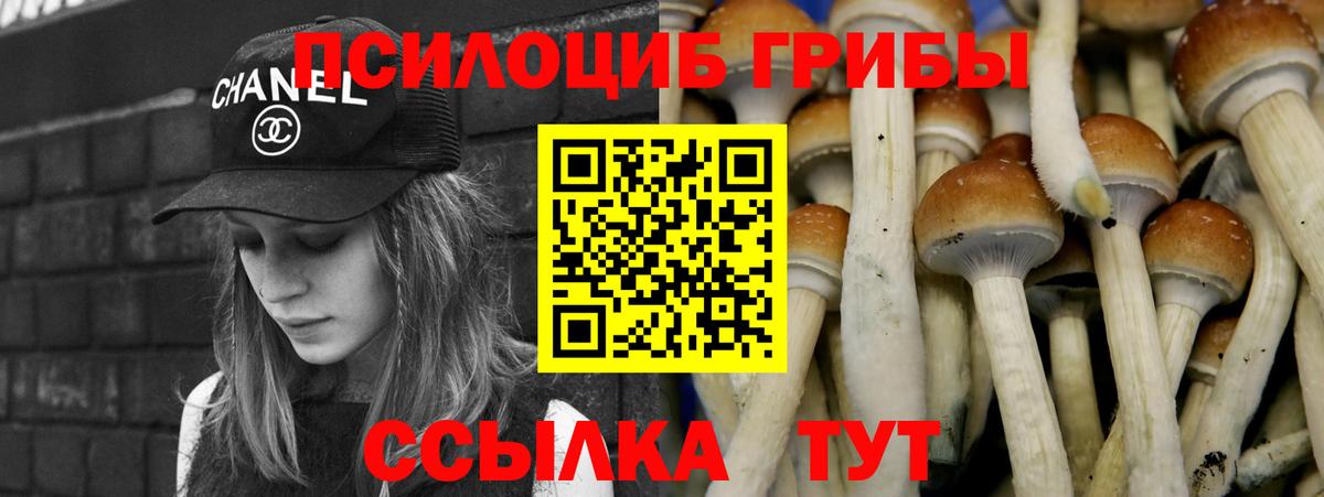 Псилоцибиновые грибы Magic Shrooms Будённовск